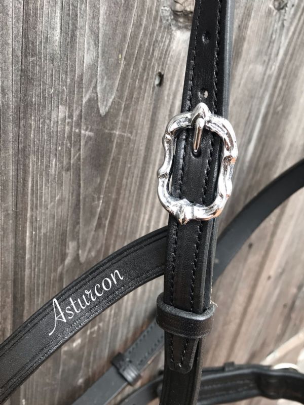 Oslo Training Bridle